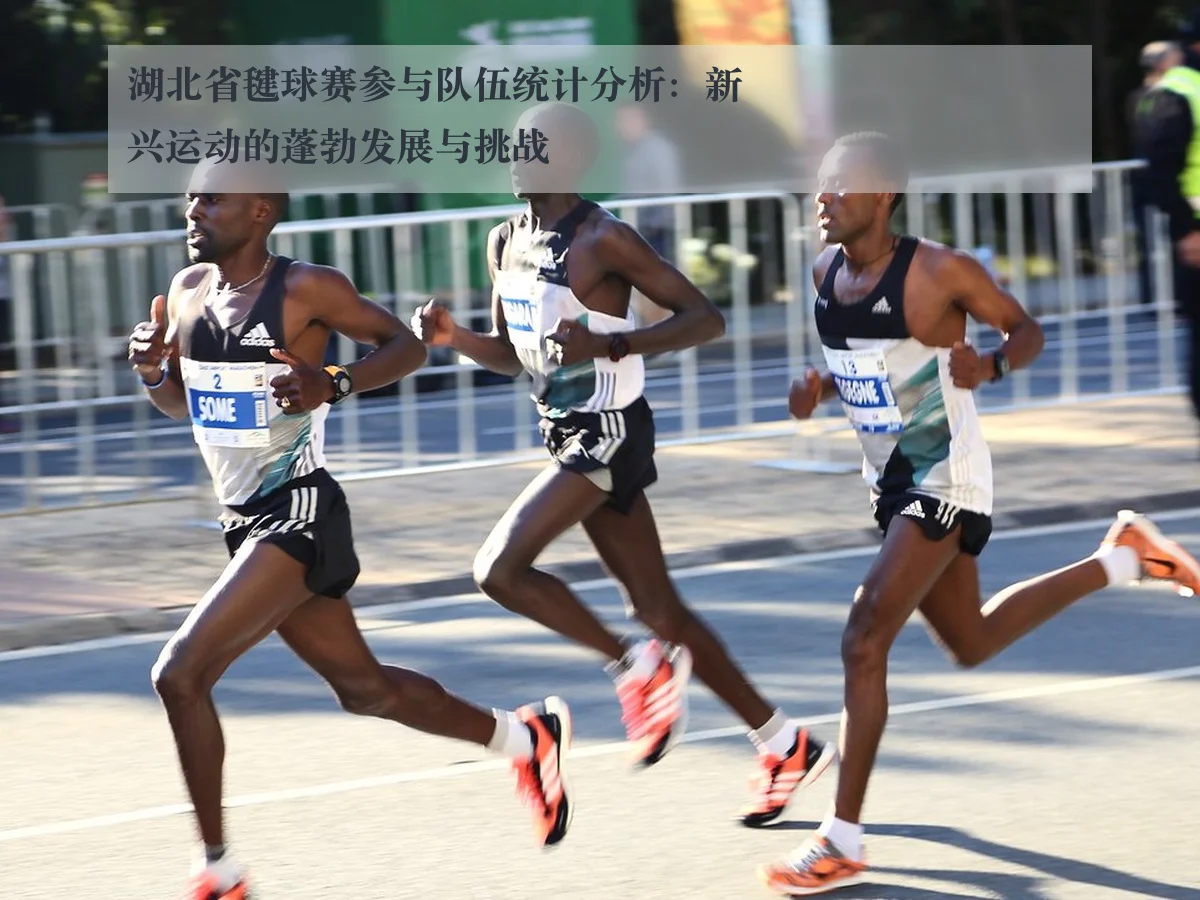 湖北省毽球赛参与队伍统计分析：新兴运动的蓬勃发展与挑战