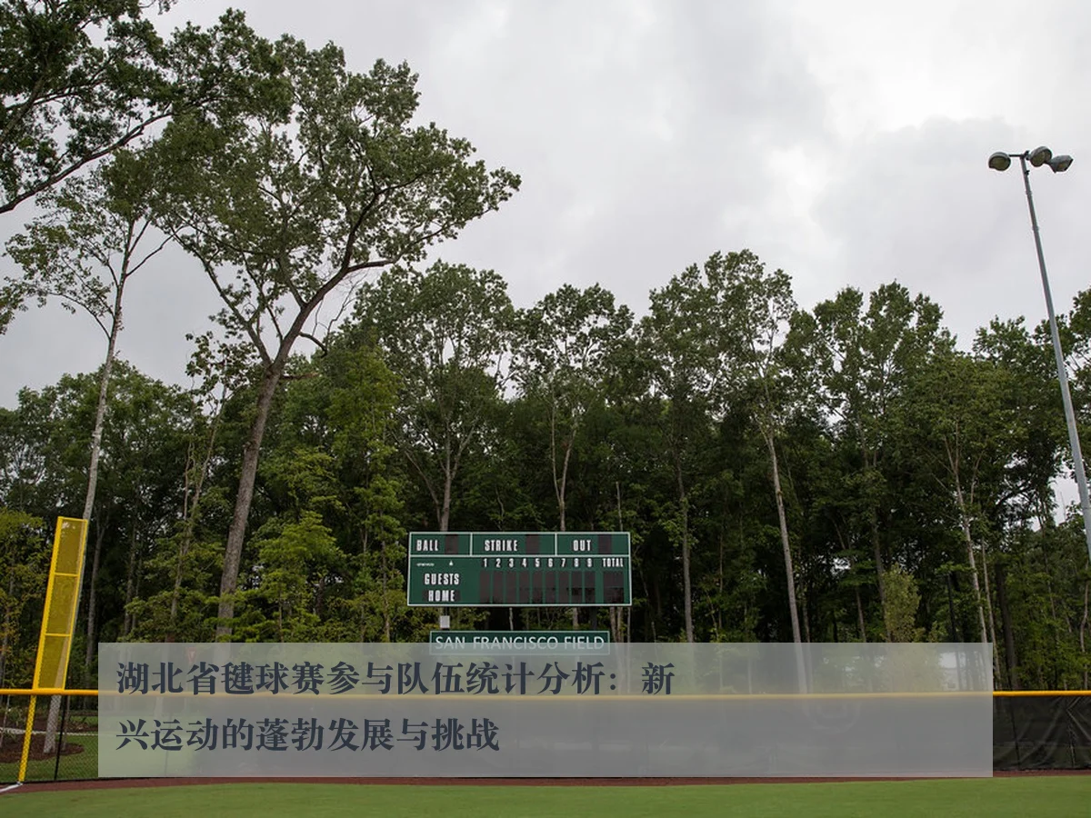 湖北省毽球赛参与队伍统计分析：新兴运动的蓬勃发展与挑战